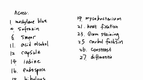 aseptic-transfers-smears-and-staining-4-name-seetion-2020-keith-hayemade-using-crossword-weaver-tm-across-down-dye-used-in-simple-stain-red-counterstain-prepared-prior-t0-slaining-decolorzed-22955