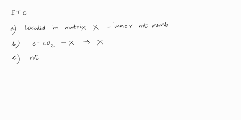 the-electron-transport-chain-a-is-located-in-the-matrix-of-the-mitochondrion-b-has-the-electronegati-79592