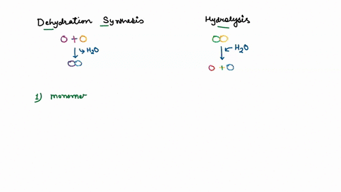 which-reaction-dehydration-synthesis-or-hydrolysisconverts-a-polymer-to-its-monomers-which-one-conve-64364