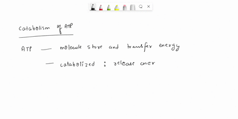 d-question41-the-catabolism-of-atp-results-in-an-reaction-which-is-o-none-of-the-above-reductionexergonic-reductionendergonic-oxidationendergonic-oxidationexergonic-78706