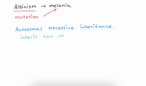 albinism-is-a-recessive-trait-in-which-a-person-is-unable-to-produce-the-pigment-melanin-that-gives-color-to-skin-what-conclusion-can-be-drawn-using-this-information-a-the-trait-for-for-albi-97715