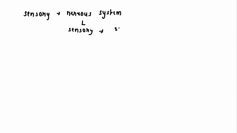 which-sensory-division-carries-information-from-the-visceral-organs-within-the-ventral-body-cavity-to-the-central-nervous-system-80163