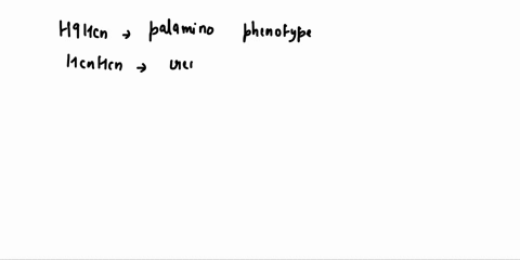7-in-horses-coat-color-shows-incomplete-dominance-the-alleles-are-chestnut-color-h9-and-cremello-hcn-heterozygous-individuals-have-the-phenotype-palamino-what-are-the-predicted-phenotypes-fr-26235