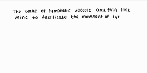 why-are-the-walls-of-lymphatic-vessels-thin-like-veins-75019