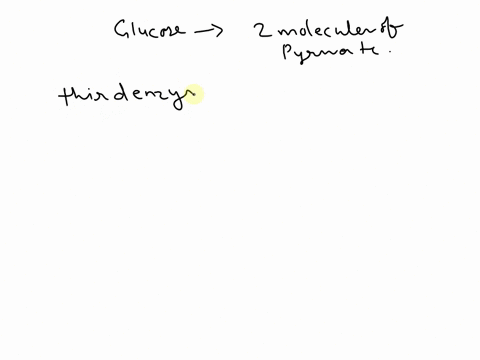 glycolysis-is-the-first-step-in-cellular-respiration-this-step-by-step-process-is-run-with-the-help-of-10-different-enzymes-as-glucose-is-modified-and-eventually-changed-into-two-molecules-o-47277