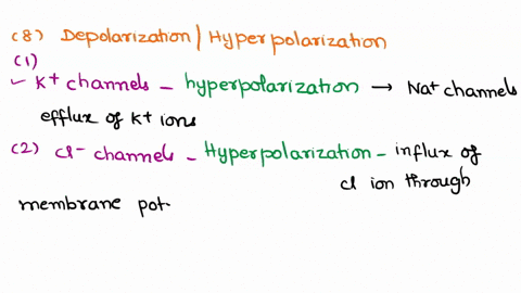 8-indicate-whether-the-following-lead-to-depolarization-or-hyperpolarization-1-opening-of-k-channels-on-the-post-synaptic-membrane-2-opening-of-cl-channels-on-the-post-synaptic-membrane_-3-o-92236