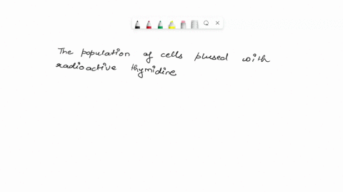 if-cells-are-grown-in-a-culture-medium-containing-radioactive-thymidine-the-thymidine-will-be-covale-67957