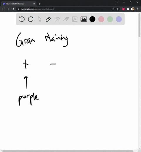 gram-stain-from-the-culture-in-case-study-1-looked-like-the-picture-below-the-purple-cocci-indicate-that-the-bacteria-is-gram-positive-you-decide-that-you-need-to-complete-catalase-test-next-46072
