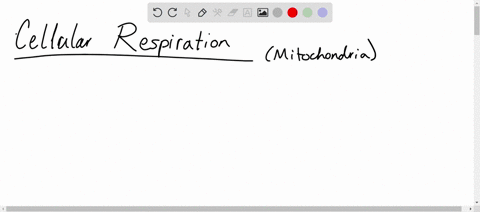 how-many-co2-molecules-are-produced-when-three-glucose-molecules-undergo-cellular-respiration-explan-05684