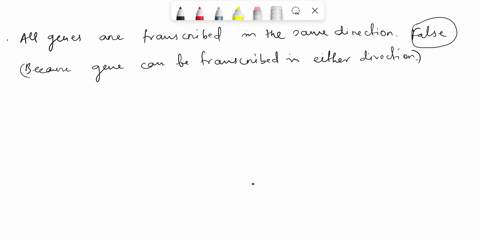 which-two-of-the-following-statements-about-transcription-are-false-usually-only-one-strand-of-any-given-gene-is-transcribed-all-genes-on-the-same-chromosome-are-transcribed-in-the-same-dire-83936