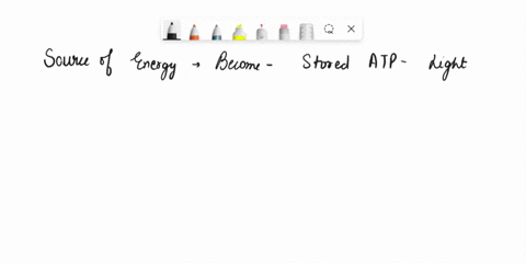 1what-is-the-source-of-the-energy-that-becomes-stored-in-atp-in-the-light-reactions-of-photosynthesis-is-this-the-same-or-different-from-the-source-of-energy-for-atp-production-in-mitochondr-89993
