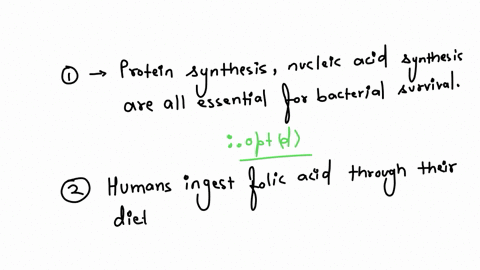 question-1-1-point-saved-listen-which-of-the-following-is-a-good-target-of-anti-microbial-agents-question-1-options-a-protein-synthesis-b-nucleic-acid-synthesis-c-cell-wall-synthesis-d-all-of-the-abov