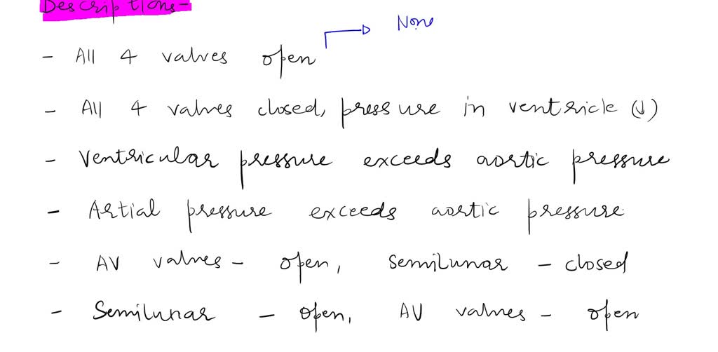 SOLVED Put these phases of the cardiac cycle in the correct order. 1