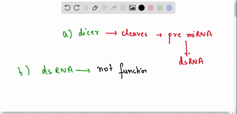 identify-the-true-statements-about-rna-interference-select-all-the-true-statements-a-mirna-is-cleaved-by-dicer-enzyme-complex-b-duplex-rna-dsrna-can-suppress-the-expression-of-a-gene-c-mirna-63364