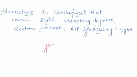 the-structure-in-the-chloroplast-that-contains-light-absorbing-pigment-electron-carriers-and-atp-synthesizing-enzymes-is-called-select-one-stroma-b-outer-membrane-inner-membrane-d-grana-85845