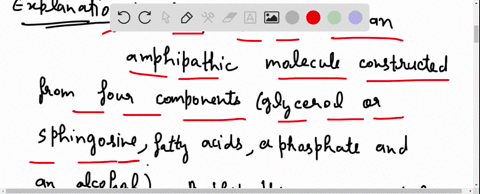 the-term-phospholipid-can-best-be-described-by-which-of-the-following-select-one-a-a-nonpolar-lipid-molecule-that-is-made-polar-by-the-addition-of-a-phosphate-b-a-nonpolar-lipid-molecule-tha-03328