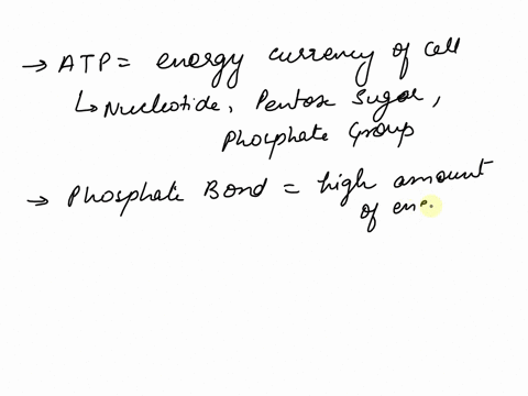atp-transports-and-releases-energy-within-cells-that-can-be-used-for-many-cellular-processes-how-does-atp-make-this-energy-available-to-the-cell-the-bonds-between-adenosine-groups-break-and-43054