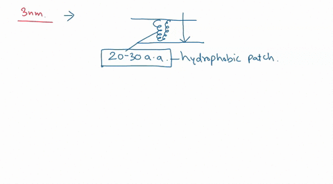 if-the-hydrophobic-interior-of-a-membrane-were-about-3-nm-thick-what-would-be-the-minimum-number-of-amino-acids-in-a-stretch-of-transmembrane-helix-19072