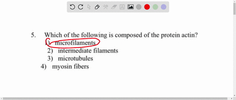 which-of-the-following-composed-of-the-protein-actin-microfilaments-intermediate-filaments-microtubules-myosin-fibers-34175