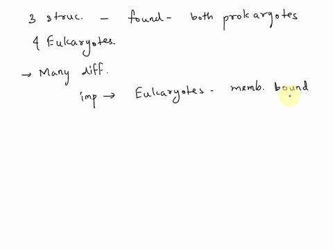 which-three-structures-are-found-in-both-prokaryotic-and-eukaryotic-cells-which-three-structures-are-found-in-both-prokaryotic-and-eukaryotic-cells-cytoplasm-endoplasmic-reticulum-dna-riboso-47554