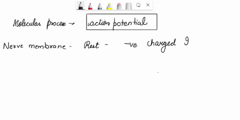 task-2-toxins-can-interrupt-the-transmission-of-action-potentials-along-an-axon-examples-irom-the-animal-kingdom-are-the-toxin-of-the-puffer-fish-tetrodotoxin-or-ttx-the-toxins-of-some-sea-a-64326