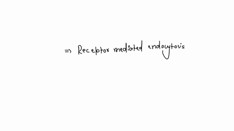 target-molecules-bind-to-receptors-in-plasma-membrane-then-are-brought-in-via-vesicle