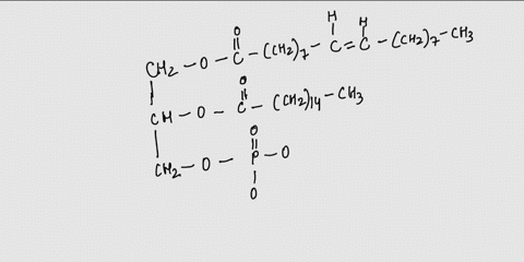 phospholipids-are-similar-t0-triglyccrides-except-that-phosphate-group-replaces-one-of-the-fatty-acids-the-phosphate-group-is-polar-molecule-polar-molecules-are-hydrophilic-and-interact-with-89434
