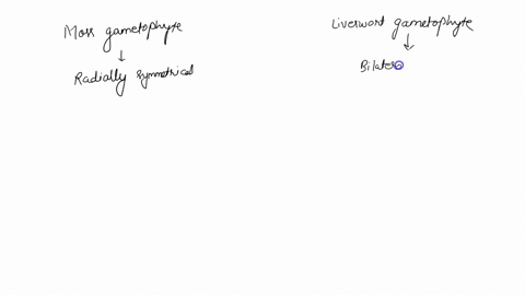 how-does-the-symmetry-of-a-moss-gametophyte-compare-with-that-of-a-liverwort-gametophyte-84804