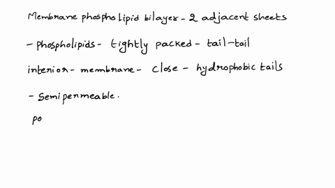 what-type-of-molecule-can-rapidly-cross-a-plasma-membrane-large-polar-molecules-b-small-hydrophobic-molecules-small-hydrophilic-molecules-dsmall-polar-molecules-42683