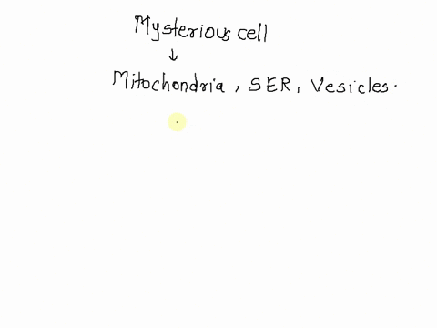what-type-of-cell-do-you-think-you-are-viewing-under-the-microscope-explain-your-reasoning-you-have-found-a-mysterious-cell-it-seems-to-have-been-cut-in-half-and-is-missing-some-of-its-conte-03457