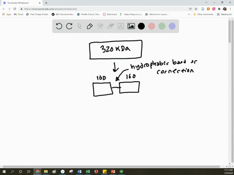 3-4-points-you-have-recently-isolated-protein-and-are-currently-determining-the-structure-of-the-protein-gel-filtration-chromatography-indicated-molecular-weight-of-approximately-320-kda-tre-61933
