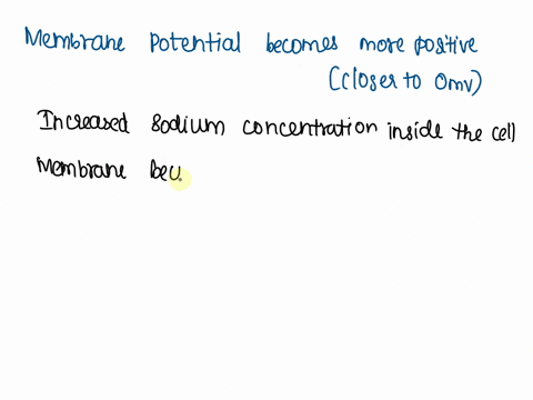 hypothetical-factors-that-affect-resting-membrane-potential-determine-whether-each-factor-would-increase-or-decrease-the-membrane-potential-decreased-sodium-membrane-becomes-equally-permeabl-42984