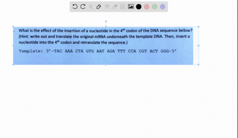 what-is-the-effect-of-the-insertion-of-a-nucleotide-in-the-4th-codon-of-the-dna-sequence-below-hint-write-out-and-translate-the-original-mrna-underneath-the-template-dna_-then-insert-a-nucle-26228
