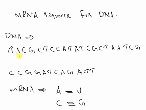 what-is-the-mrna-sequence-for-dna-t-a-c-g-c-t-c-c-a-t-a-t-c-g-c-t-a-a-t-c-g-c-c-g-g-a-t-c-a-g-a-t-t-if-the-dna-sequence-is-atggtca-what-will-the-mrna-sequence-be-thank-you-for-your-help-86845