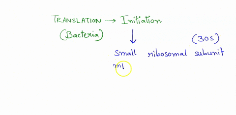 which-of-the-following-components-is-not-needed-for-the-initiation-of-translation-in-bacteria-30s-ribosomal-subunit-16s-rrna-charged-initiator-trna-5-cap-shine-dalgarno-sequence-mrna-98562
