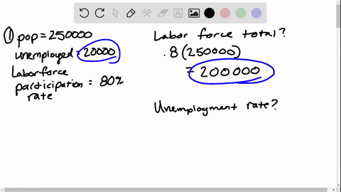 1-population-250000-unemployed-20000-labor-force-participation-rate-80-a-how-many-people-are-in-the-labor-force-b-what-is-the-unemployment-rate-2-not-in-the-labor-force-125000-unemployed-250-87795