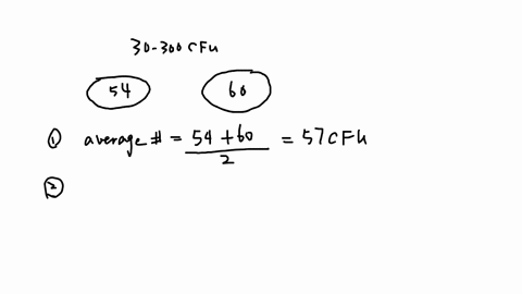 now-calculate-the-cfuml-cfuml-x-colonies-x-1df-first-calculate-the-average-colonies-from-the-two-plates-next-calculate-the-df-df-dilution-factor-df-amount-plated-x-the-dilution-plated-last-s-54304