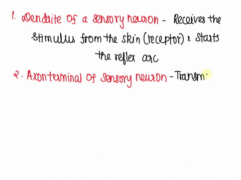 skin-spinal-cord-2-match-each-structure-in-the-reflex-arc-numbered-above-with-its-description-given-below-structure-dendrite-of-a-motor-neuron-axon-terminal-of-motor-neuron-dendrite-of-a-sen-40634