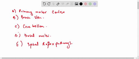 which-of-the-following-provides-direct-input-to-alpha-motor-neurons-indicate-all-correct-answers-a-p-25472