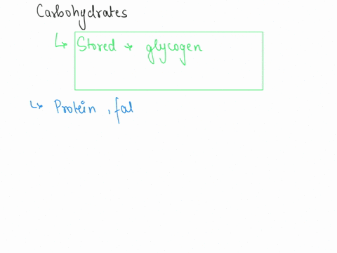 when-excess-carbohydrates-are-consumed-they-are-a-stored-as-glycogen-b-excreted-in-the-urine-c-converted-to-protein-d-excreted-in-the-feces-52024