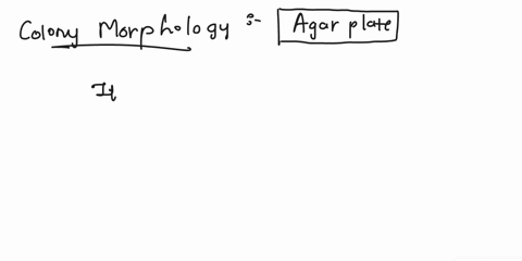 you-decide-to-inoculate-media-with-a-bacterial-sample-in-order-to-determine-colony-morphology-which-of-the-following-would-be-the-best-medium-t0-use-in-order-t0-determine-this-aear-deep-brot-40538