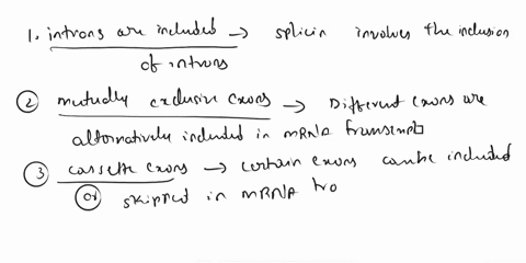 alternative-polysdenylatlon-introns-oro-includeg-jhey-can-bo-translated-produce-novel-intron-retention-sotorms-orused-to-fungiand-prolozoabut-rare-in-mamme-mutually-exciusive-exons-casselte-44194