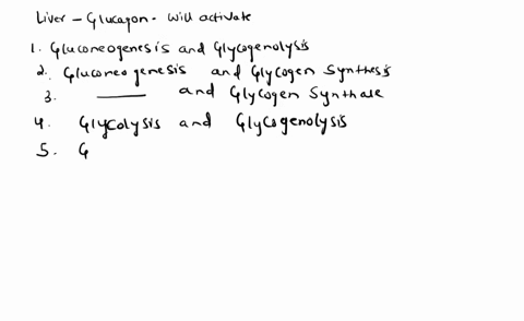 in-liver-glucagon-will-activate-a-gluconeogenesis-glycogenolysis-b-gluconeogenesis-glycogen-synthesis-c-gluconeogenesis-glycogen-synthase-dglycolysis-glycogenolysis-e-glycolysis-glycogenesis-18022