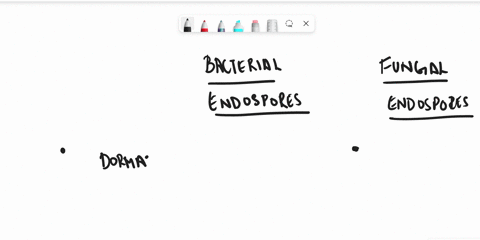 difference-and-similarities-between-endospores-from-bacteria-and-spores-from-fungi-75627
