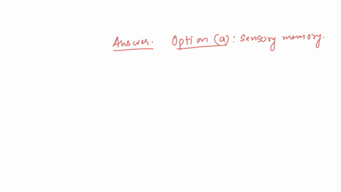 in-which-type-of-memory-does-information-have-the-briefest-life-span-question-13-options-a-sensory-memory-b-working-memory-c-short-term-memory-d-semantic-memory