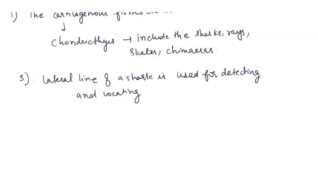 SOLVED The cartilaginous fishes do NOT include Rays Eels Skates
