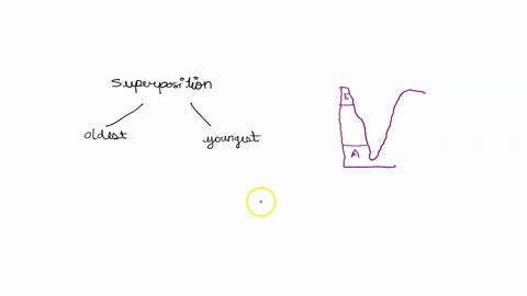 i-need-the-answers-asap-assighmeis-coursts-asslgnment-atempl-101-prolect-relative-datng-sictomig-qulsumc-according-the-iaw-of-superposition-which-layer-oldesl-youngesi-sector-stratum-looks-l-70078