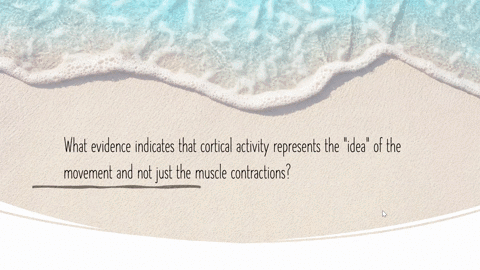 what-evidence-indicates-that-cortical-activity-represents-the-idea-of-the-movement-and-not-just-the-95806