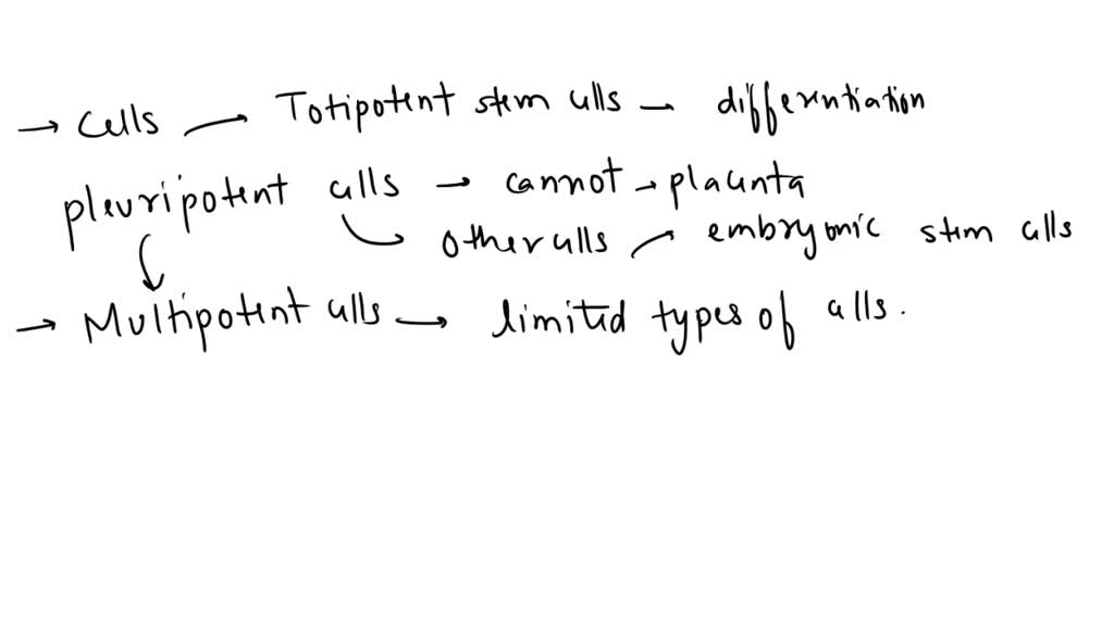 SOLVED Organize the following types of stem cells according to their potency, from the most