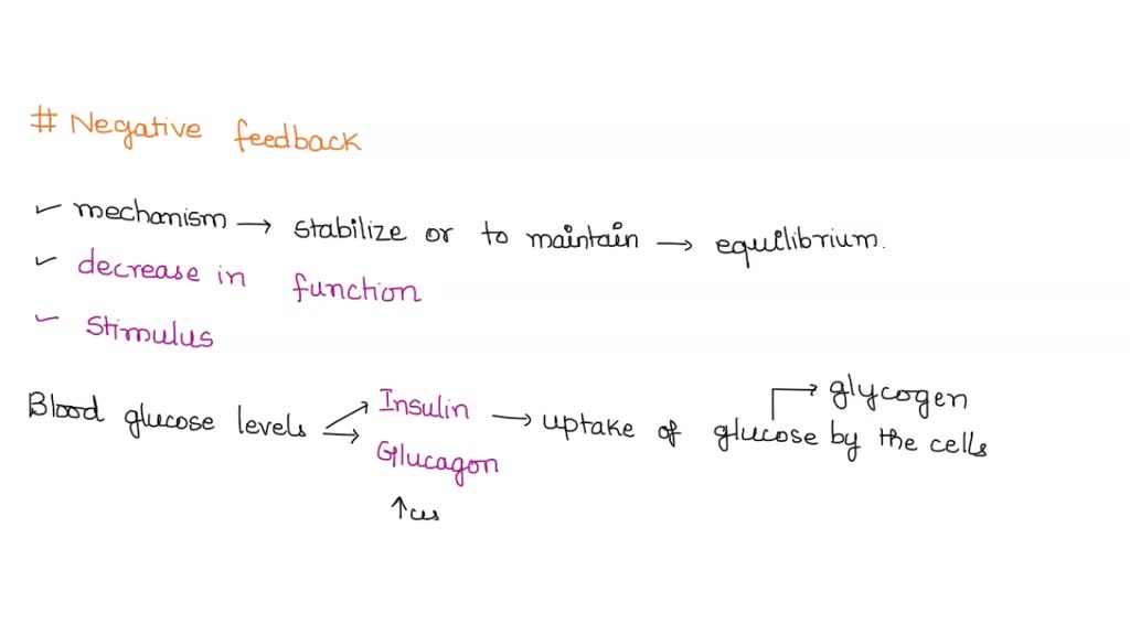 SOLVED Part 1 Explain the term negative feedback' and use the example of blood glucose